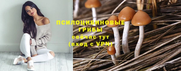 гашиш Лабытнанги