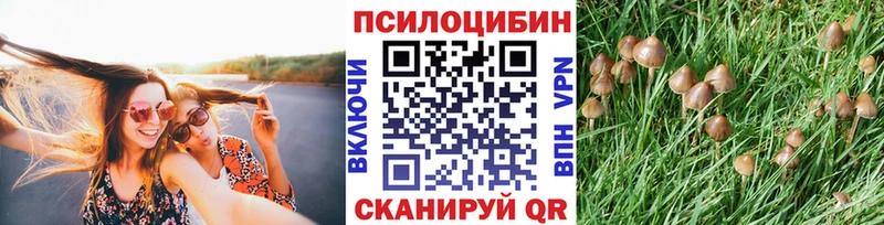 Галлюциногенные грибы мухоморы  Купить закладки  Армянск 